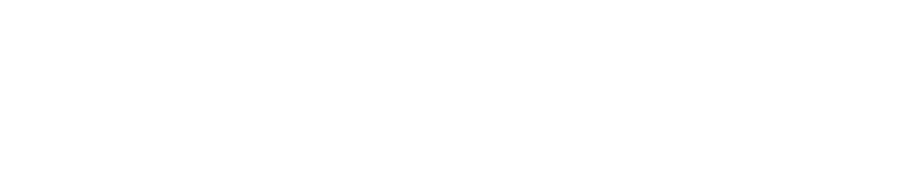 FIPS 'n' CHIPS logo