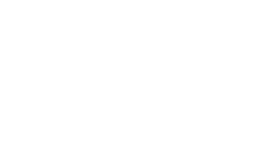 Crypto-v Alliance logo